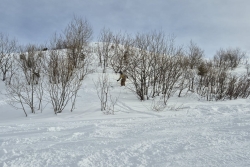 2026-01-24 - Sortie 3