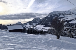 2026-01-31 - Sortie 4